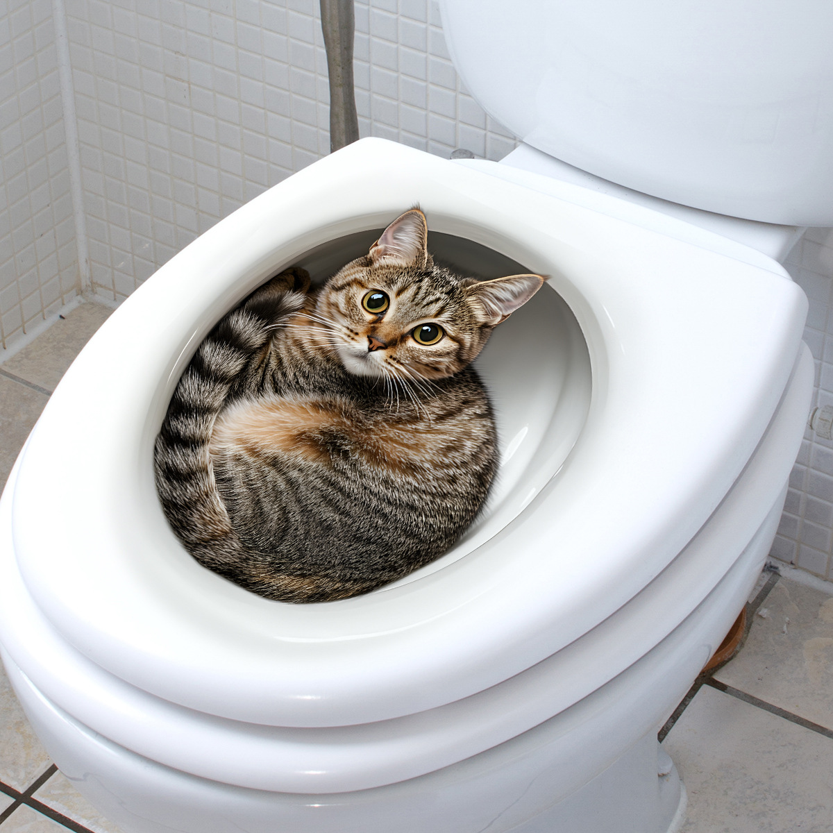 3D Funny Cat Toilet Sticker Ba - Home Bathroom Gadgets review and price